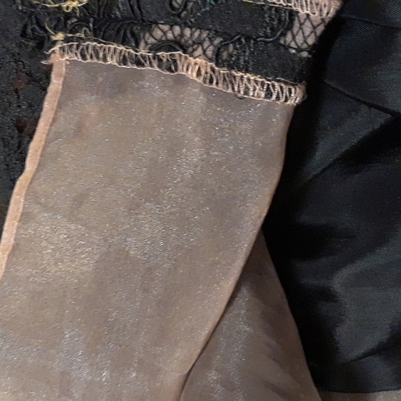 Lillie Rubin lace & chiffon formal dress - Picture 6 of 8